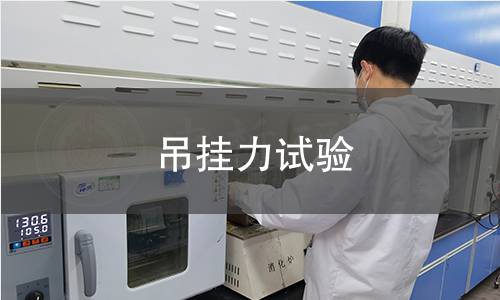 吊挂力试验 吊挂力试验