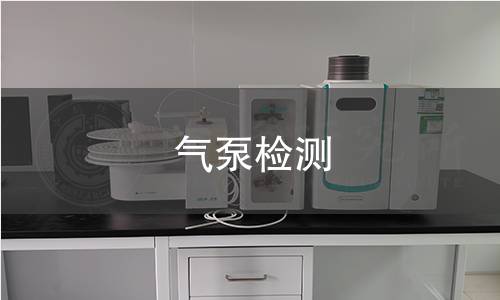 气泵检测