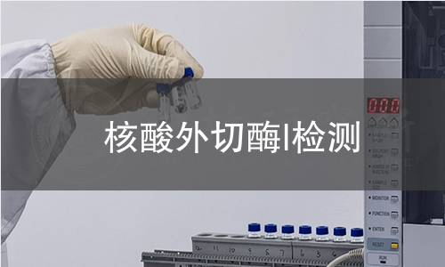 核酸外切酶I检测 核酸外切酶I检测