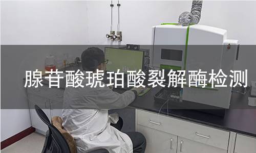腺苷酸琥珀酸裂解酶检测 腺苷酸琥珀酸裂解酶检测