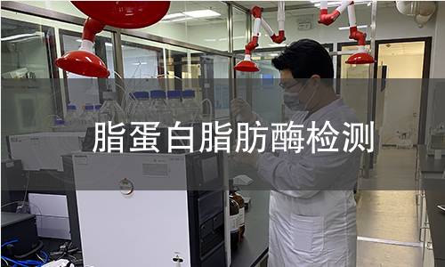  脂蛋白脂肪酶检测