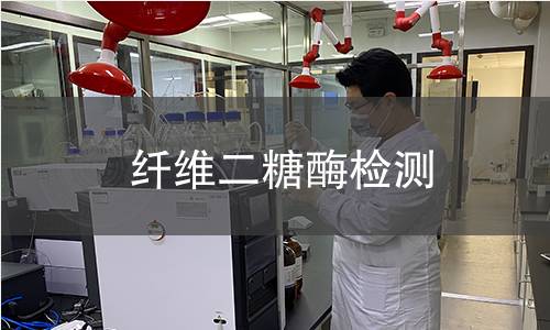 纤维二糖酶检测 纤维二糖酶检测