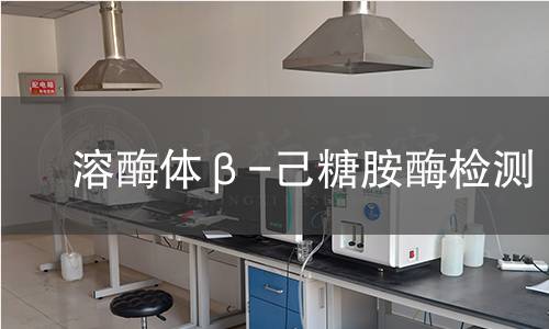  溶酶体β-己糖胺酶检测