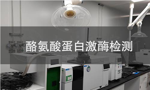 酪氨酸蛋白激酶检测 酪氨酸蛋白激酶检测