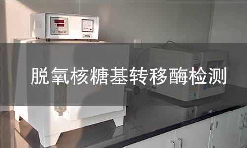 脱氧核糖基转移酶检测 脱氧核糖基转移酶检测