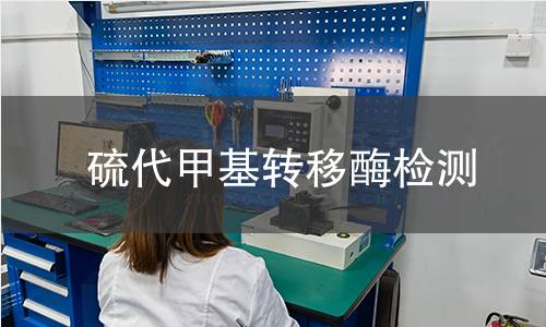 硫代甲基转移酶检测 硫代甲基转移酶检测