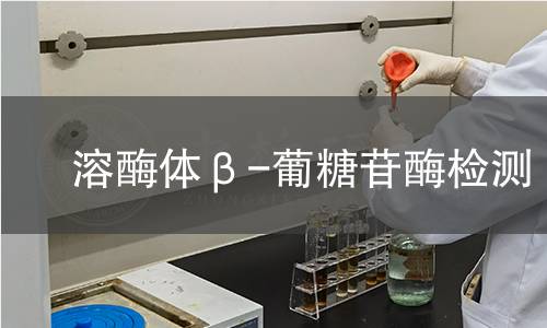  溶酶体β-葡糖苷酶检测