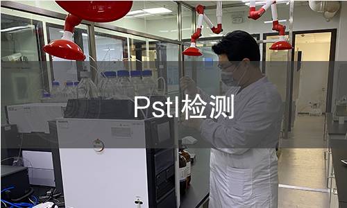 PstI检测 PstI检测