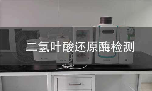 二氢叶酸还原酶检测 二氢叶酸还原酶检测