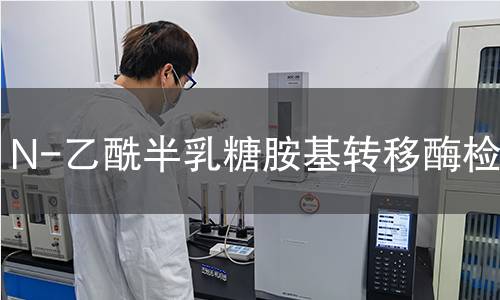 N-乙酰半乳糖胺基转移酶检测 N-乙酰半乳糖胺基转移酶检测