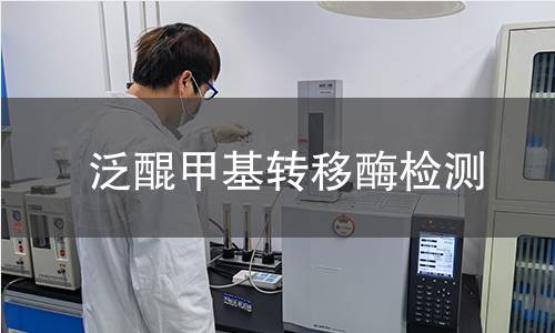 泛醌甲基转移酶检测 泛醌甲基转移酶检测