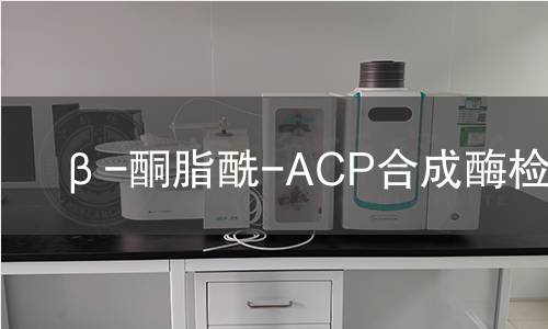 β-酮脂酰-ACP合成酶检测 β-酮脂酰-ACP合成酶检测
