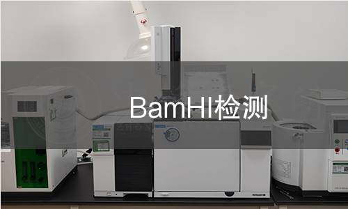 BamHI检测 BamHI检测