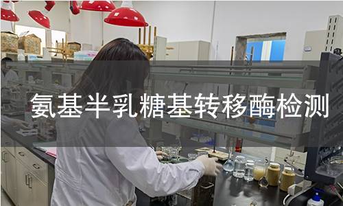 氨基半乳糖基转移酶检测 氨基半乳糖基转移酶检测