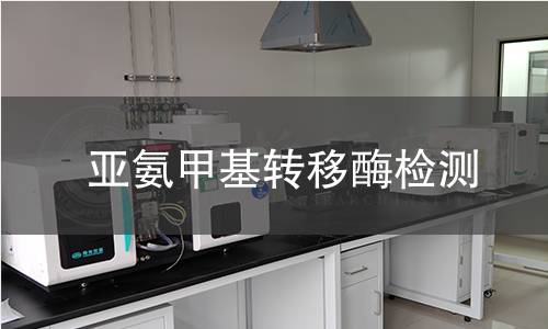 亚氨甲基转移酶检测 亚氨甲基转移酶检测