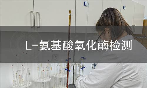 L-氨基酸氧化酶检测 L-氨基酸氧化酶检测