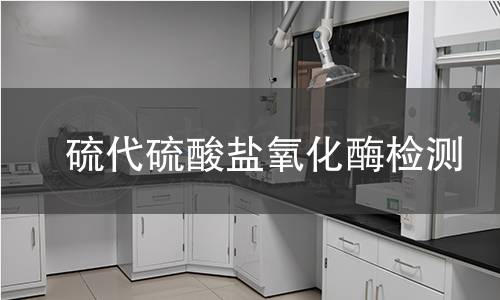  硫代硫酸盐氧化酶检测
