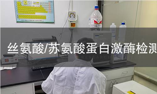 丝氨酸/苏氨酸蛋白激酶检测 丝氨酸/苏氨酸蛋白激酶检测