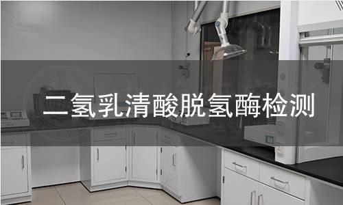 二氢乳清酸脱氢酶检测 二氢乳清酸脱氢酶检测