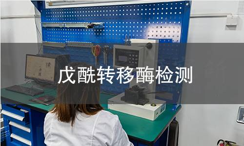 戊酰转移酶检测 戊酰转移酶检测
