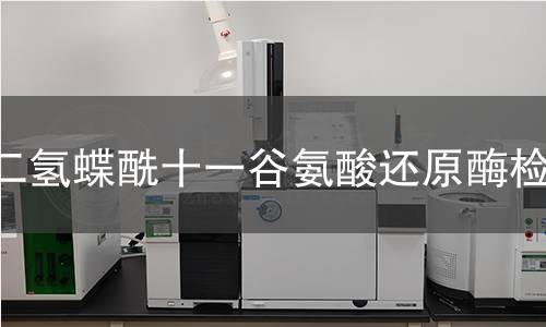 二氢蝶酰十一谷氨酸还原酶检测 二氢蝶酰十一谷氨酸还原酶检测