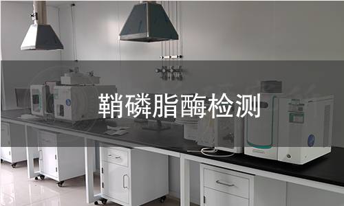  鞘磷脂酶检测