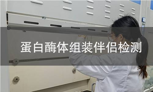  蛋白酶体组装伴侣检测