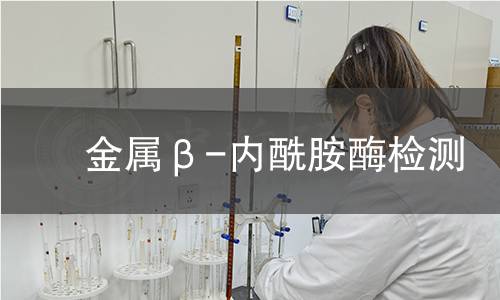 金属β-内酰胺酶检测 金属β-内酰胺酶检测