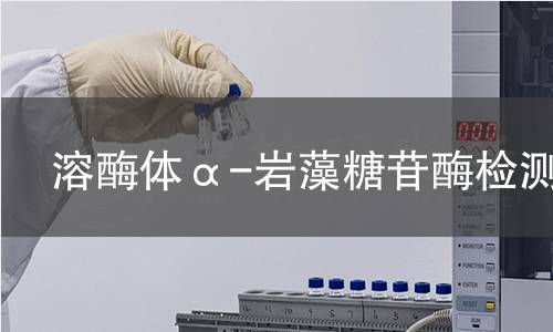  溶酶体α-岩藻糖苷酶检测