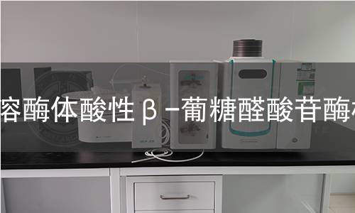  溶酶体酸性β-葡糖醛酸苷酶检测