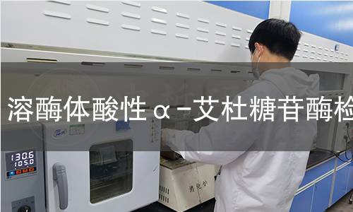  溶酶体酸性α-艾杜糖苷酶检测