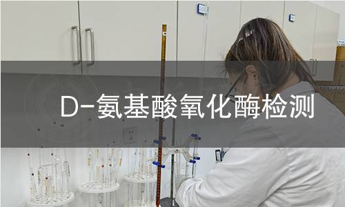 D-氨基酸氧化酶检测 D-氨基酸氧化酶检测