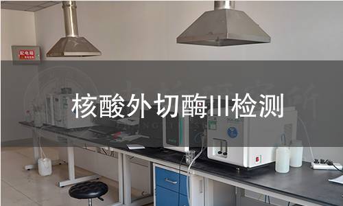 核酸外切酶III检测 核酸外切酶III检测