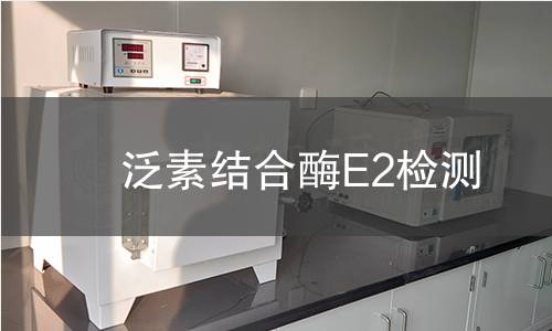 泛素结合酶E2检测 泛素结合酶E2检测