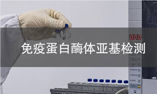 免疫蛋白酶体亚基检测 免疫蛋白酶体亚基检测