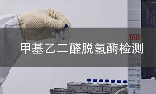 甲基乙二醛脱氢酶检测 甲基乙二醛脱氢酶检测