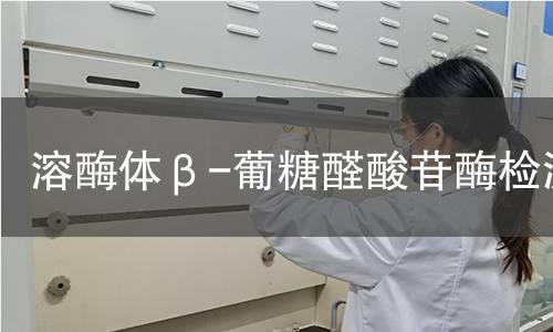  溶酶体β-葡糖醛酸苷酶检测