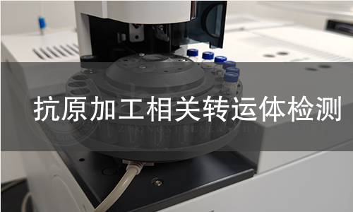 抗原加工相关转运体检测 抗原加工相关转运体检测