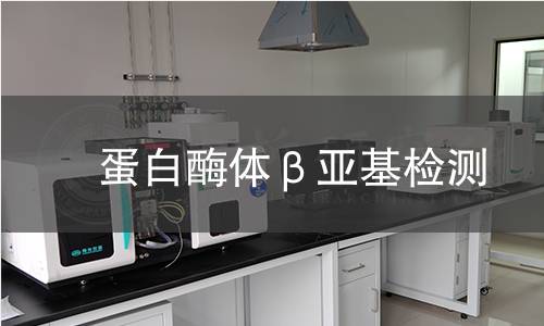  蛋白酶体β亚基检测