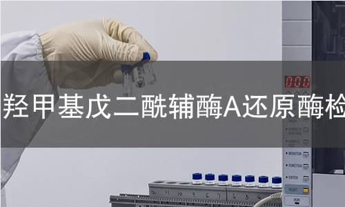 羟甲基戊二酰辅酶A还原酶检测 羟甲基戊二酰辅酶A还原酶检测