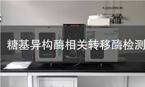 糖基异构酶相关转移酶检测 糖基异构酶相关转移酶检测