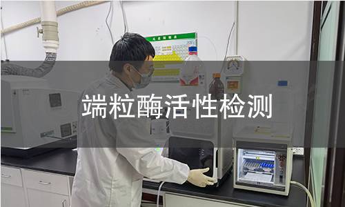 端粒酶活性检测 端粒酶活性检测