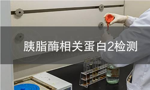 胰脂酶相关蛋白2检测 胰脂酶相关蛋白2检测