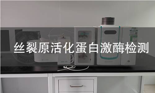 丝裂原活化蛋白激酶检测 丝裂原活化蛋白激酶检测
