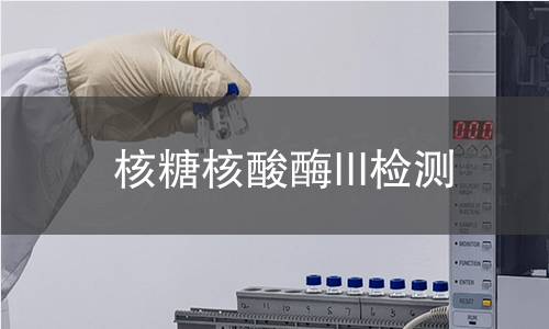 核糖核酸酶III检测 核糖核酸酶III检测