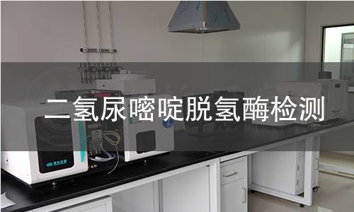 二氢尿嘧啶脱氢酶检测 二氢尿嘧啶脱氢酶检测