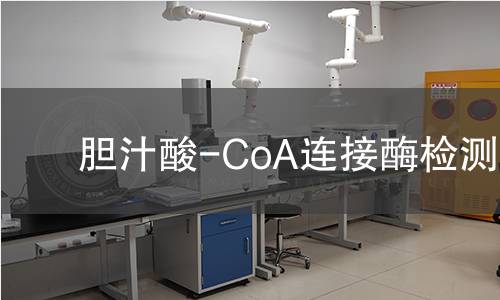 胆汁酸-CoA连接酶检测 胆汁酸-CoA连接酶检测