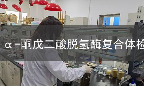 α-酮戊二酸脱氢酶复合体检测 α-酮戊二酸脱氢酶复合体检测