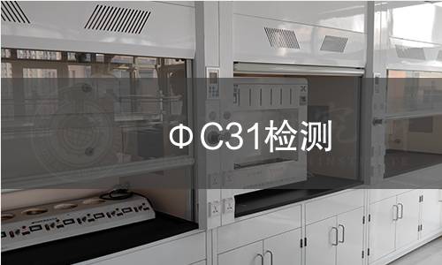 ΦC31检测 ΦC31检测