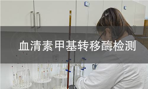 血清素甲基转移酶检测 血清素甲基转移酶检测